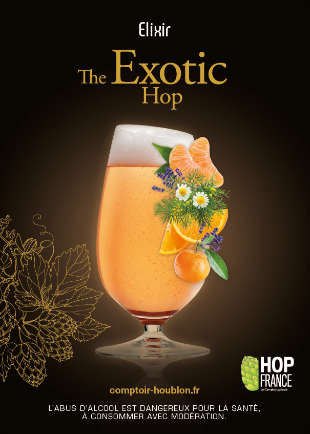 Image variété houblon elixir